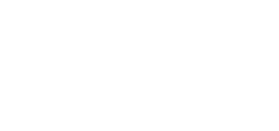 PFM-SD